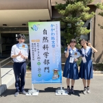 IMG_3705 2.jpeg